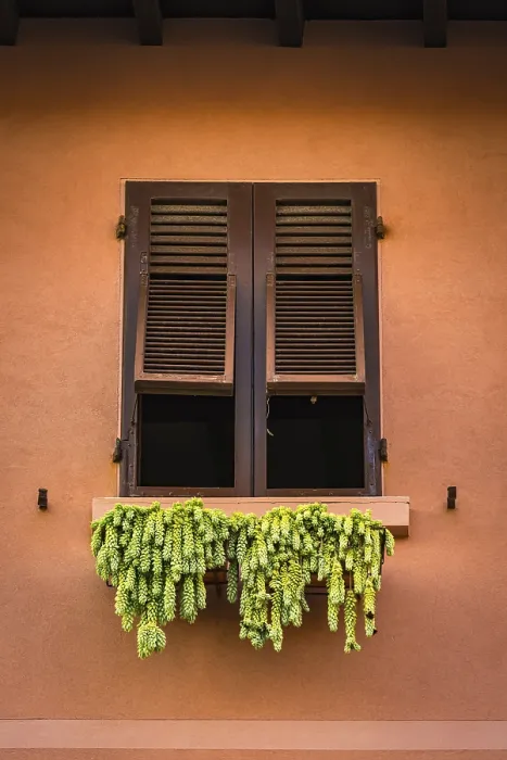 Framed Print : Italy Window with Drying Hops Print Framed Print : Italy Window with Drying Hops Print