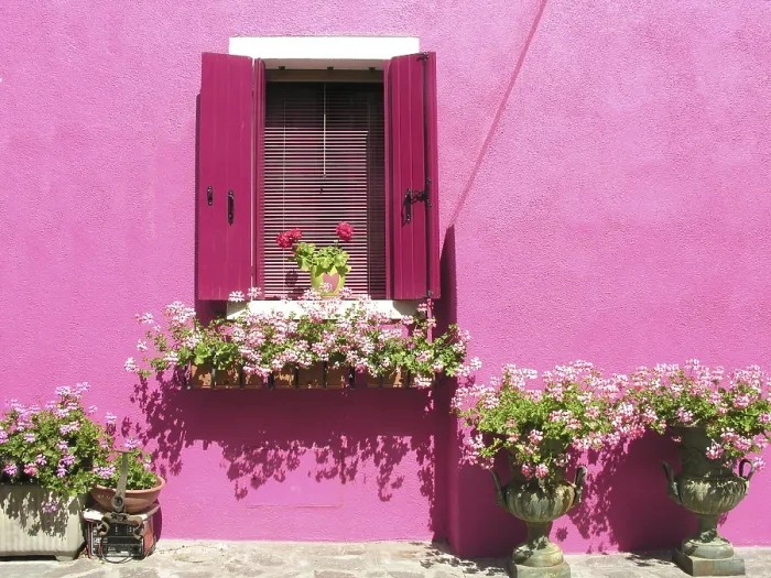 Framed Print : Windows in Burano Print Framed Print : Windows in Burano Print