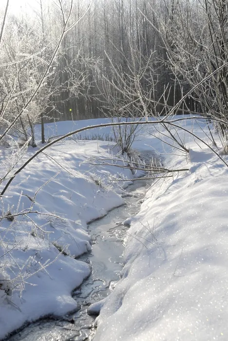 Framed Print : Print of Winter Landscape Framed Print : Print of Winter Landscape