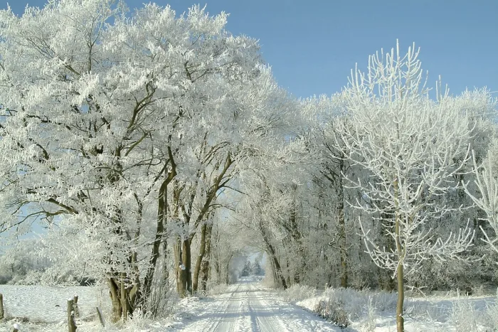 Framed Print : Winter Landscape Print Framed Print : Winter Landscape Print