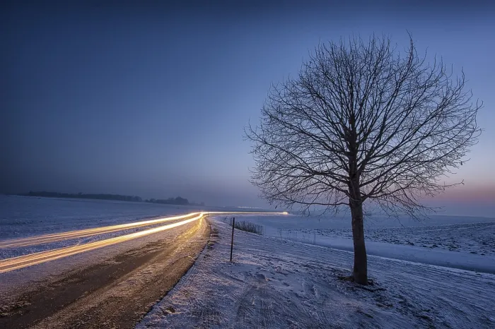 Framed Print : Winter Landscape Print with Bare Tree and Car Trails Framed Print : Winter Landscape Print with Bare Tree and Car Trails