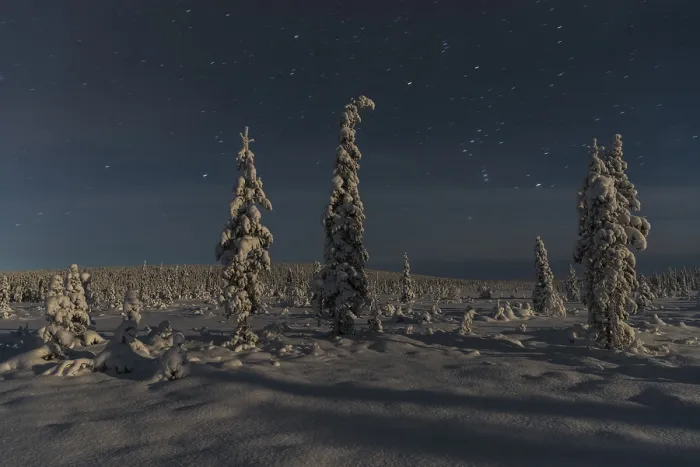 Framed Print : Winter Landscape Print in Moonlight, Norrbotten, Sweden Framed Print : Winter Landscape Print in Moonlight, Norrbotten, Sweden