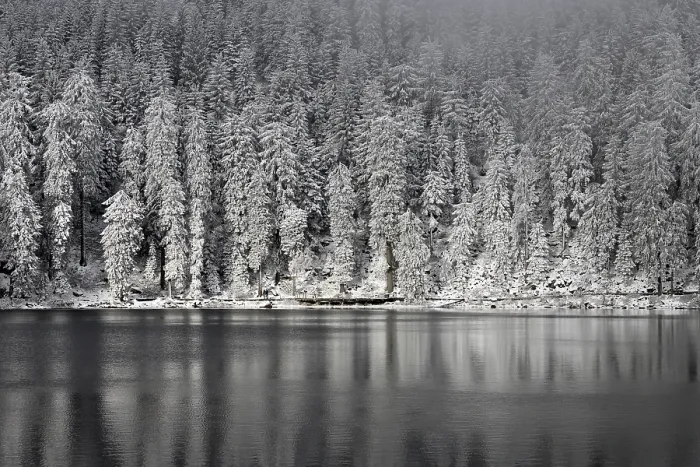 Framed Print : Winter Landscape at Mummelsee, Black Forest Print Framed Print : Winter Landscape at Mummelsee, Black Forest Print