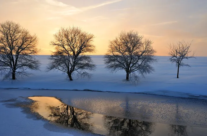 Framed Print : Winter Print - Setting Sun Backlight Framed Print : Winter Print - Setting Sun Backlight