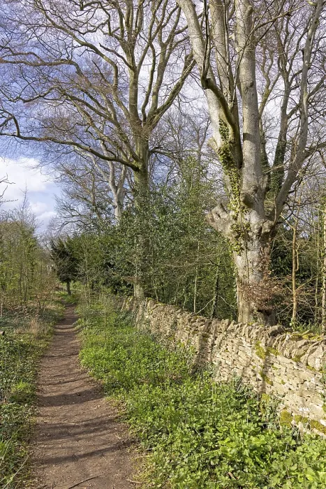 Framed Print : Winter Trees, Stone Wall, Path Print - Bibury, The Cotswolds Framed Print : Winter Trees, Stone Wall, Path Print - Bibury, The Cotswolds