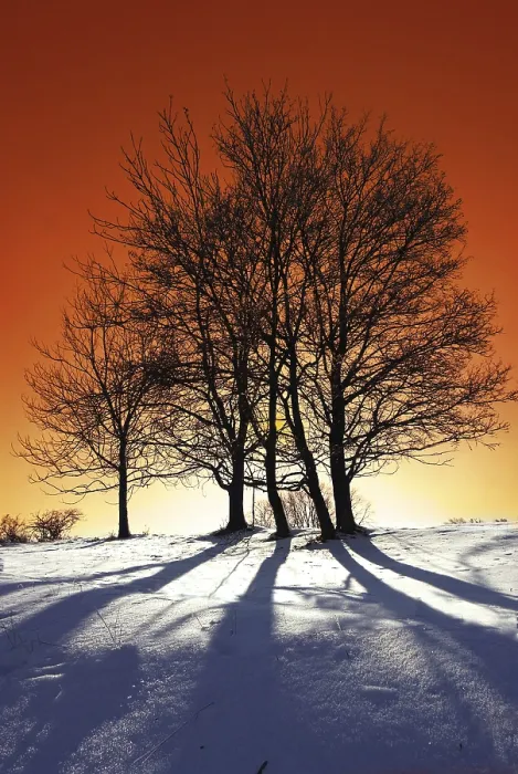 Framed Print : Winterabend Print by imageBROKER Framed Print : Winterabend Print by imageBROKER