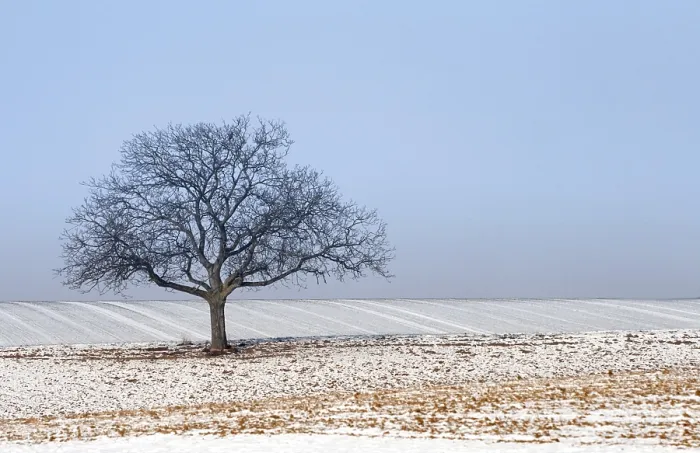 Framed Print : Wintertime Print - Snowy Landscape Framed Print : Wintertime Print - Snowy Landscape