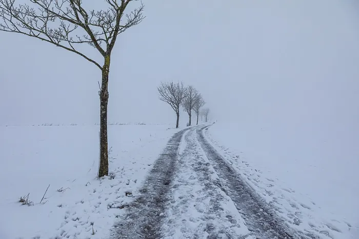 Framed Print : Wintry Landscape Print at Diffuse Light in Germany Framed Print : Wintry Landscape Print at Diffuse Light in Germany