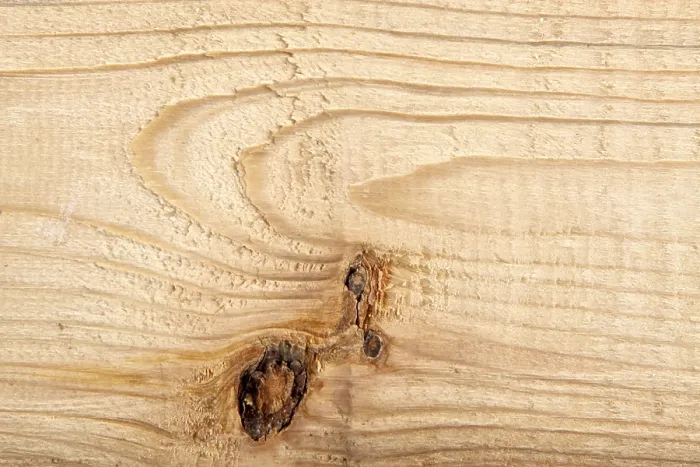 Framed Print : Natural Wood Texture Print with Organic Patterns Framed Print : Natural Wood Texture Print with Organic Patterns