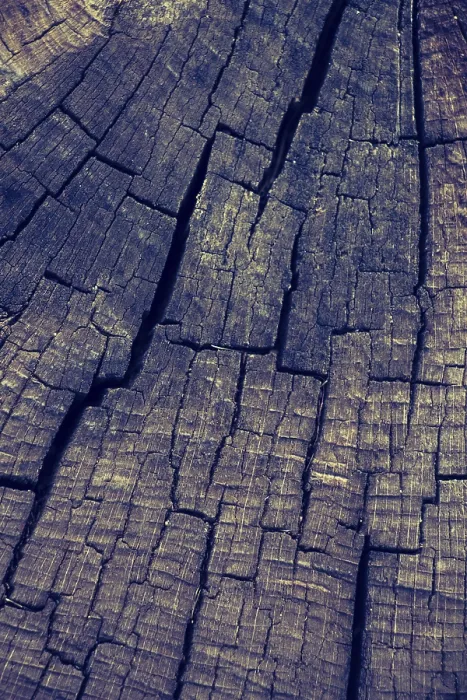 Framed Print : Wood Texture Print with Natural Patterns Background