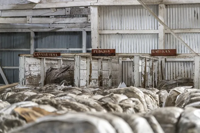 Framed Print : Wool Sorting Print, Estancia San Gregorio, Chile