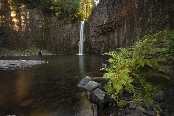 Framed Print : Abiqua Falls Print: Basalt Columns and Ferns, Oregon, USA Framed Print : Abiqua Falls Print: Basalt Columns and Ferns, Oregon, USA