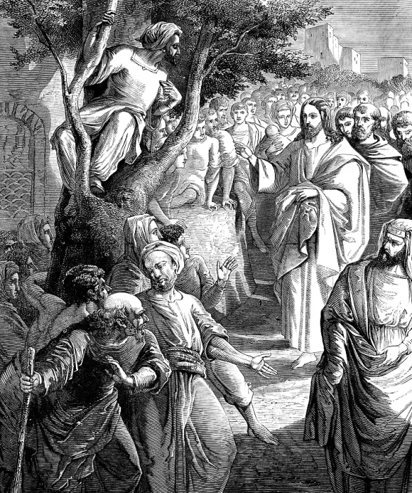 Framed Print : Print of Zacchaeus on the Mulberry Tree, Luke 19:5 Framed Print : Print of Zacchaeus on the Mulberry Tree, Luke 19:5