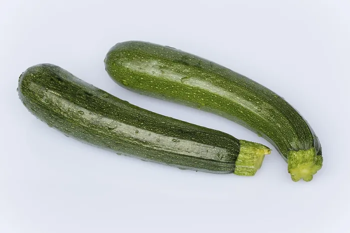 Framed Print : Zucchini Zucchini Print Framed Print : Zucchini Zucchini Print