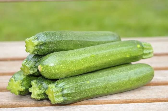 Framed Print : Zucchini Print, Vegetable Still Life Framed Print : Zucchini Print, Vegetable Still Life