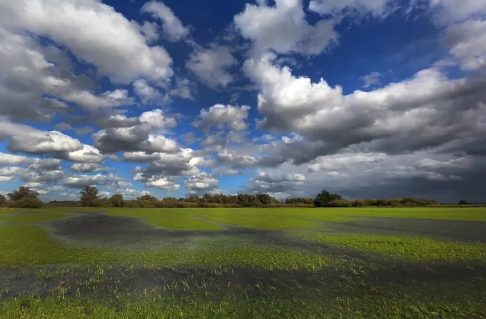 Framed Print : Biesbosch Print - A Cloudy Landscape Over the Biesbosch Wetlands