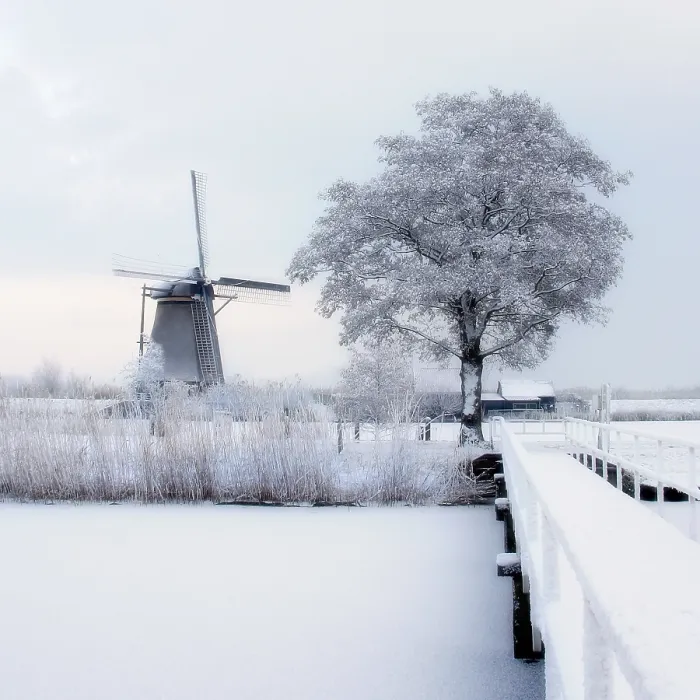 Framed Print : Kinderdijk Winterlandschap Print Framed Print : Kinderdijk Winterlandschap Print
