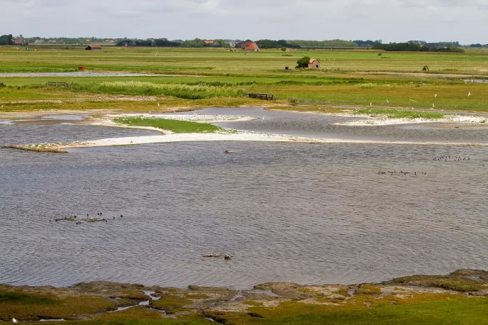 Framed Print : De Putten Print: Texel Breeding Site Framed Print : De Putten Print: Texel Breeding Site