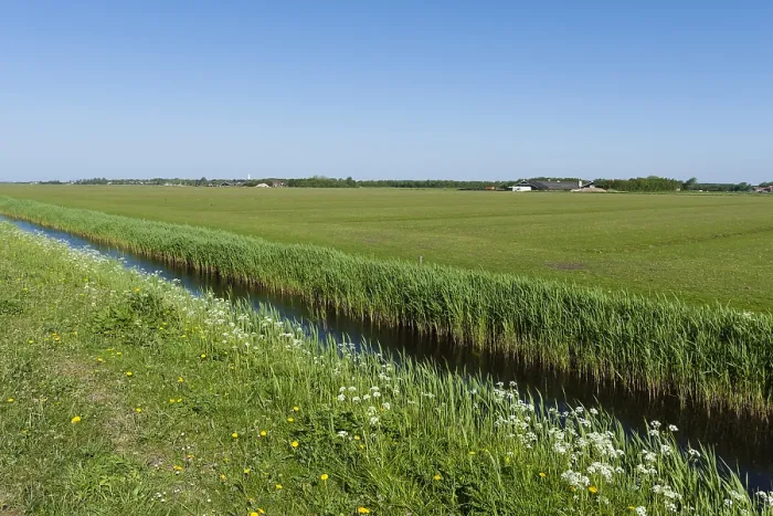 Framed Print : Print of a Dutch ditch landscape Framed Print : Print of a Dutch ditch landscape