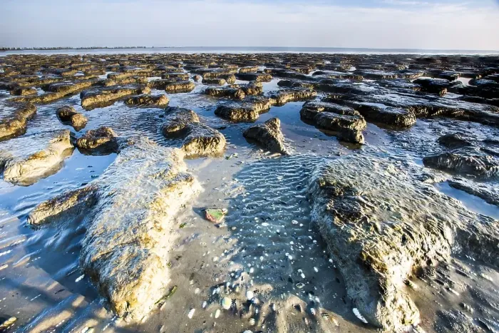 Framed Print : Waddensea Sandbars Print Framed Print : Waddensea Sandbars Print
