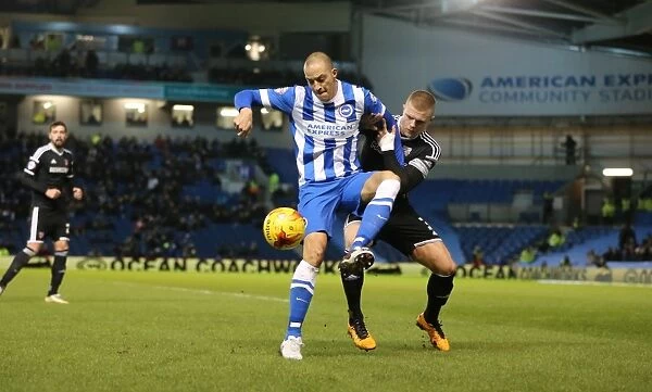 Brighton and Hove Albion vs. Brentford: A Battle in the Sky Bet Championship (05 / 02 / 2016)