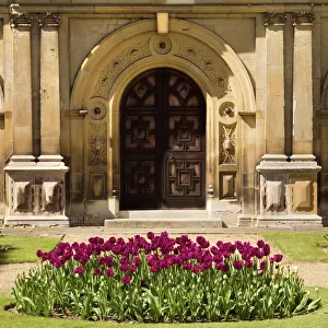 Essex Jigsaw Puzzle Collection: Audley End
