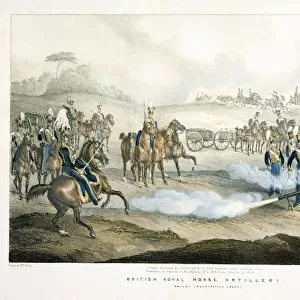Battle of Waterloo Antique Framed Print Collection: Artillery