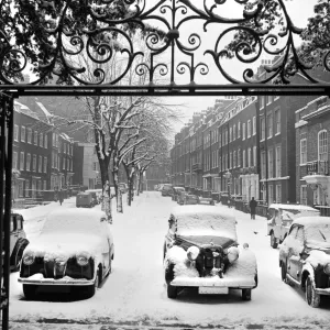 Cars in the snow a071902