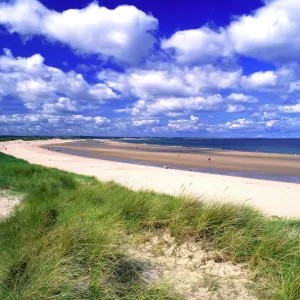 Budle Bay Print: Coastal View of Sandy Beach and Dunes