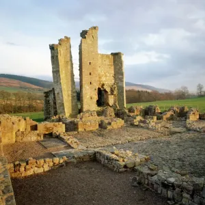 Edlingham Castle Print: Northumberland general view from the north