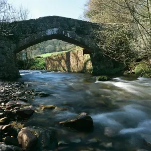Print of Packhorse bridge over River near Horner, Exmoor