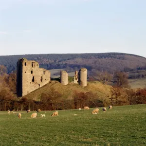 Clun Castle Print: General View of the Welsh Border Castle