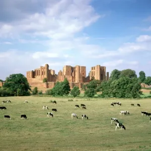 Kenilworth Castle Print: A South View with Grazing Cattle
