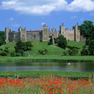 Castles of the East of England Glass Place Mat Collection: Framlingham Castle