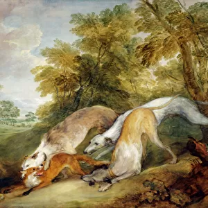 Gainsborough - Greyhounds coursing a Fox J920623