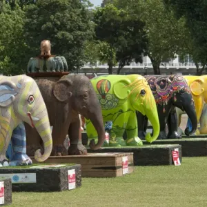 Elephant Parade Print, Royal Hospital, Chelsea Elephant Parade Print, Royal Hospital, Chelsea
