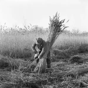 Prints of Iconic Photographers of England - Historic Image Collections: Hallam Ashley Collection (1931-1980)