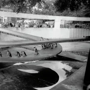 Photos From The 1930s
