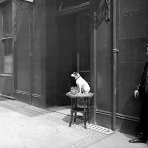 Prints of Iconic Photographers of England - Historic Image Collections: Bedford Lemere Collection (1860s-1944)