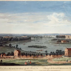 England Collection: Middlesex