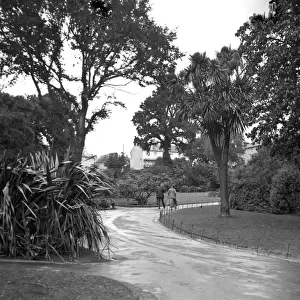 Morrab Gardens, Penzance, c. 1948