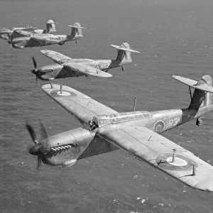 Aeroplanes Collection: Fairey Barracuda