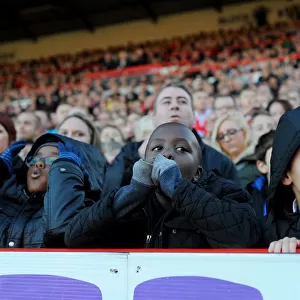 Bristol City Fans Showing Emotions During the Match against Preston North End (Nizaam Jones - 22/11/2014)