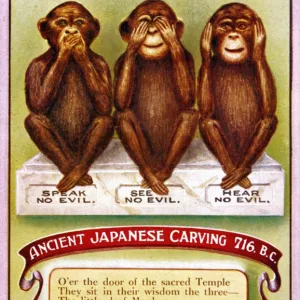 Popular Themes Framed Print Collection: 3 Wise Monkeys