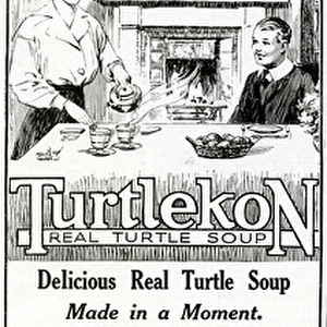 Advert for Freemans Turtlekon soup 1919