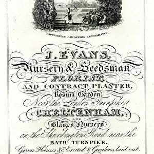 Advert, J Evans, Nursery & Seedsman