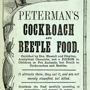 Advertisement for Petermans Cockroach and Beetle Food