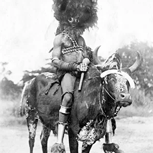 African warrior at ngoma, Mombasa, Kenya, East Africa