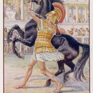 Bucephalus
