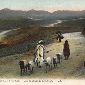 Algeria - Nomadic goat herders crossing the Col de Sfa
